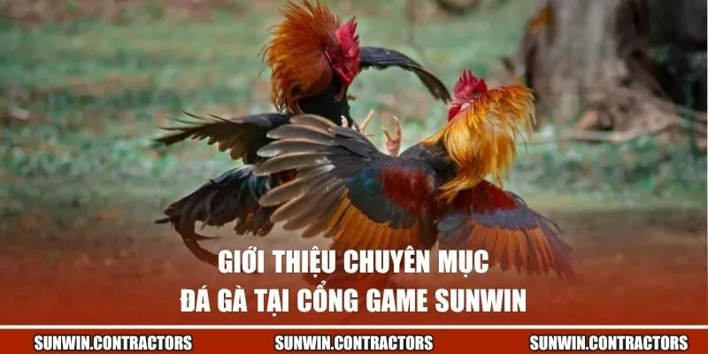Đá Gà Sunwin - Kiếm Tiền Hiệu Quả Cùng Giải Đấu Đặc Sắc 1 Giới thiệu chuyên mục đá gà tại cổng game Sunwin